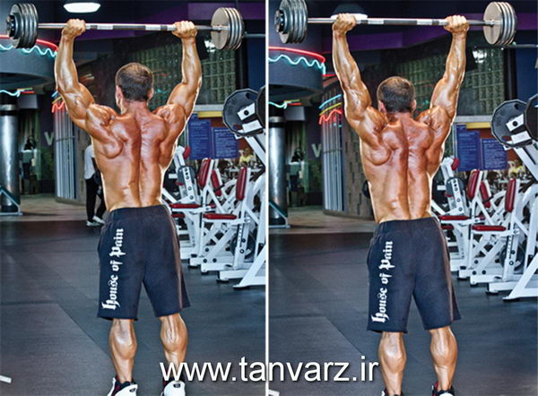 شراگ بالای سر